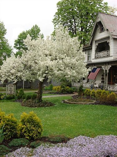 Rocking Horse Inn Ravenna Exterior foto